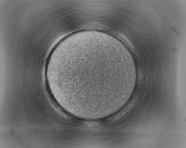 X0000112890788200910021413