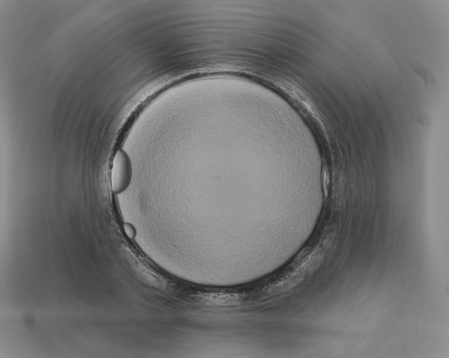 X0000112890789200910021413