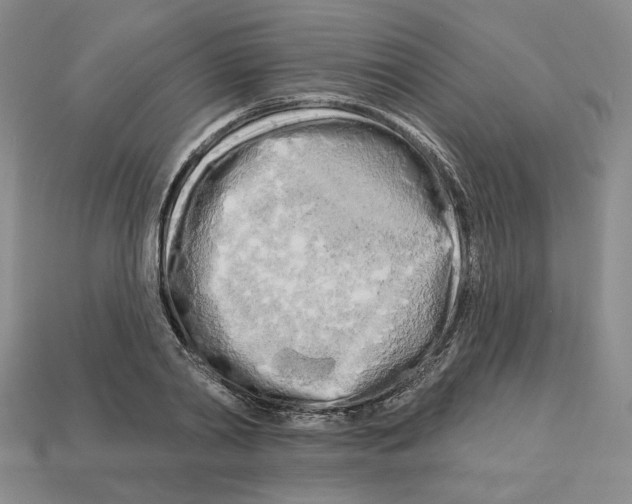 X0000112890790200910021413