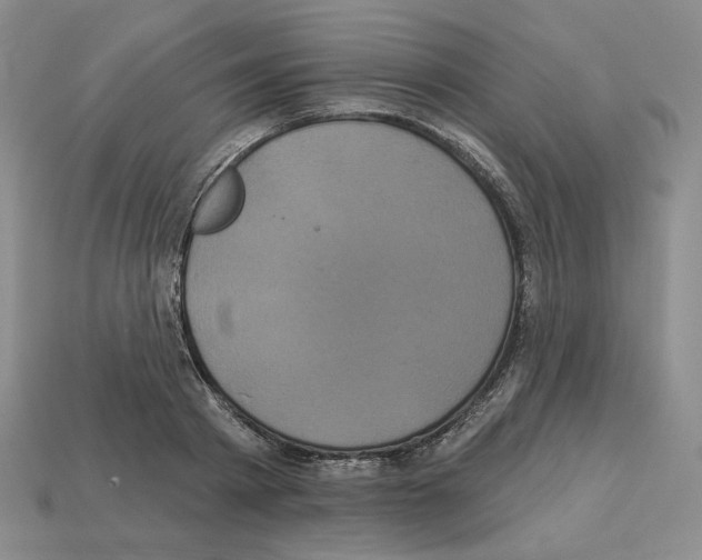 X0000112890793200910021413
