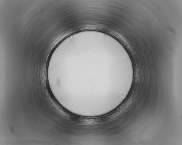 X0000112890794200910021413
