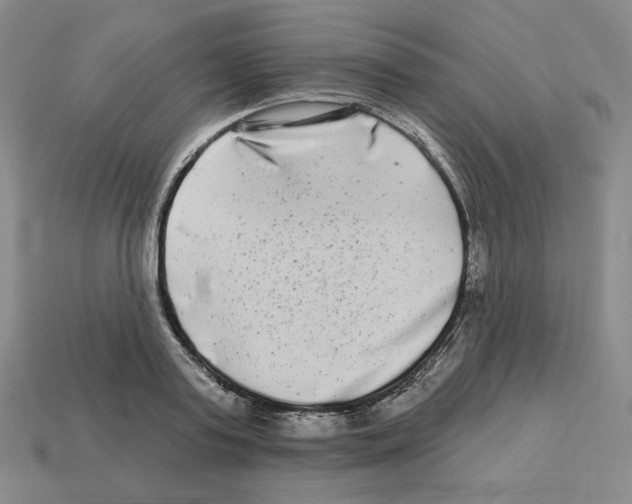 X0000112890795200910021413