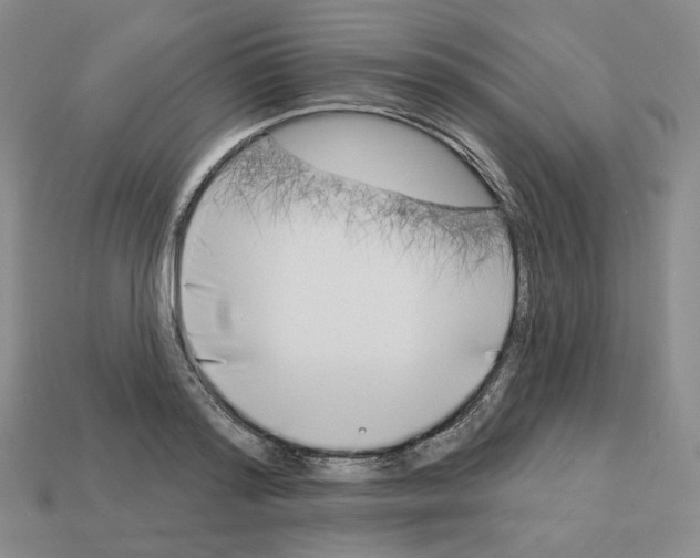 X0000112890796200910021413
