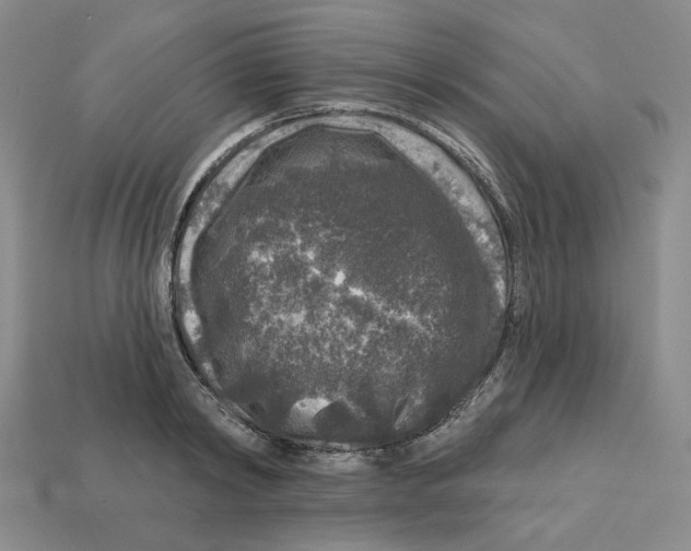 X0000112890798200910021413