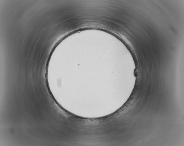X0000112890799200910021413
