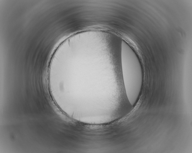 X0000112890800200910021413