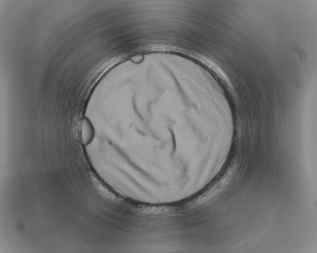 X0000112890801200910021413