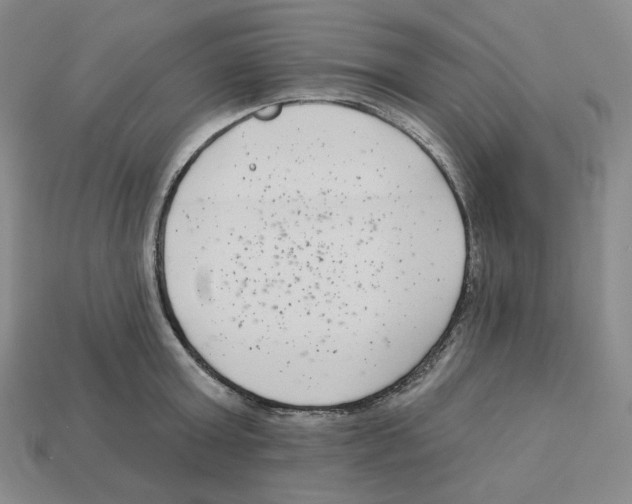 X0000112890803200910021413