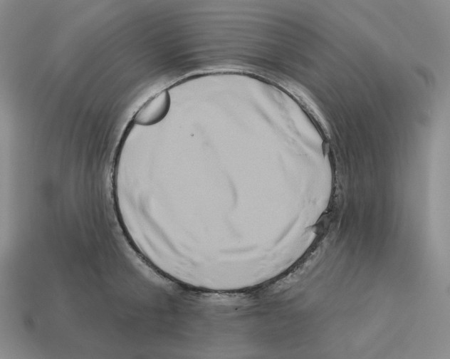 X0000112890805200910021413