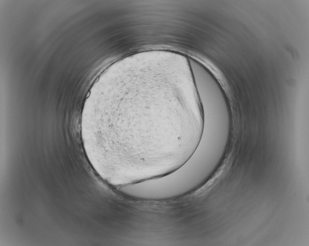 X0000112890809200910021413