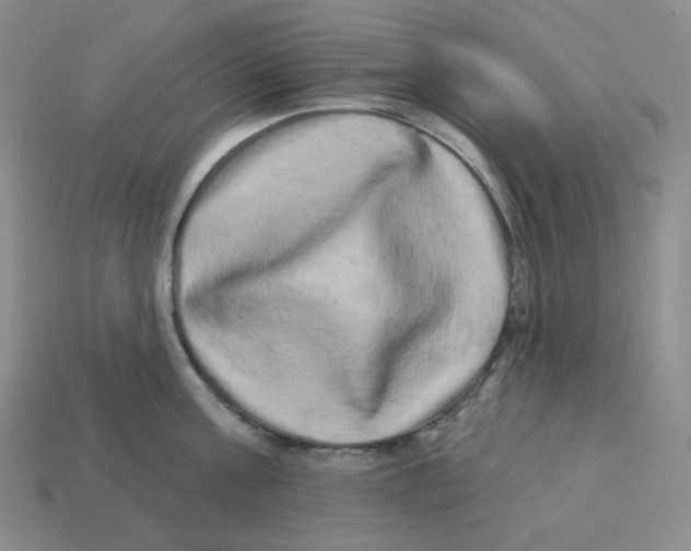 X0000112890811200910021413
