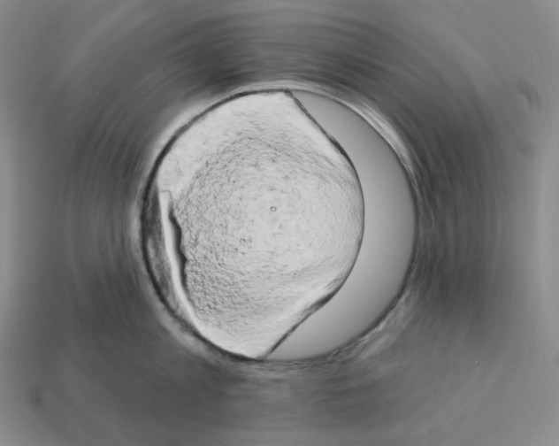 X0000112890813200910021413