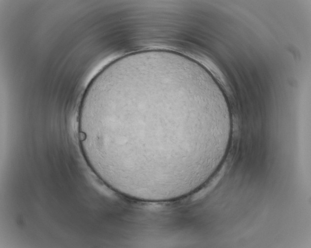 X0000112890814200910021413