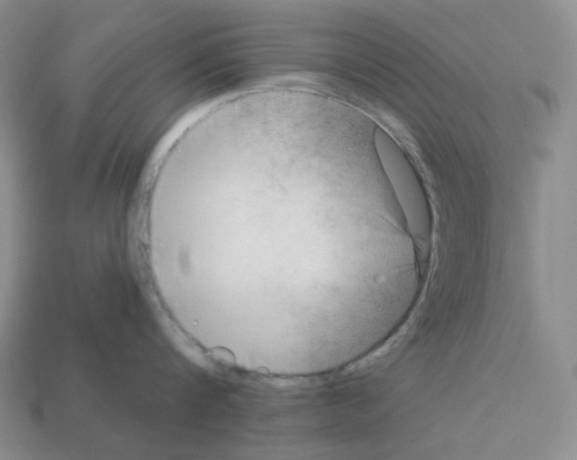 X0000112890816200910021413