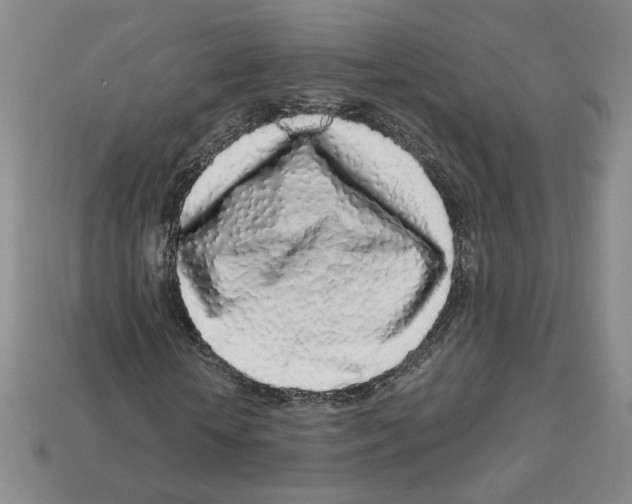 X0000112890818200910021412