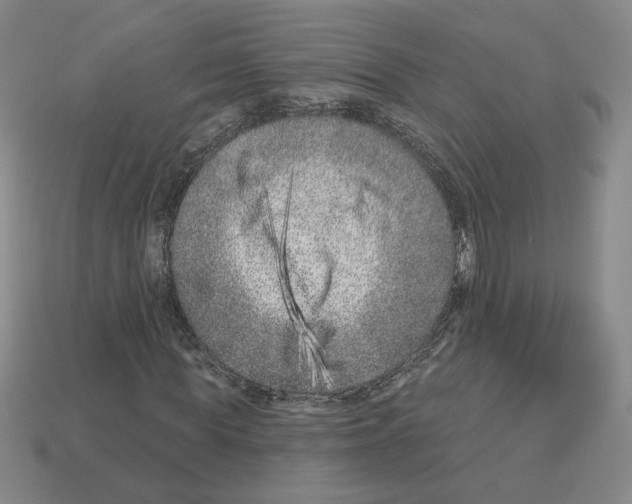 X0000112890819200910021412