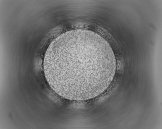 X0000112890820200910021412