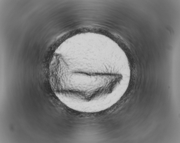 X0000112890822200910021412