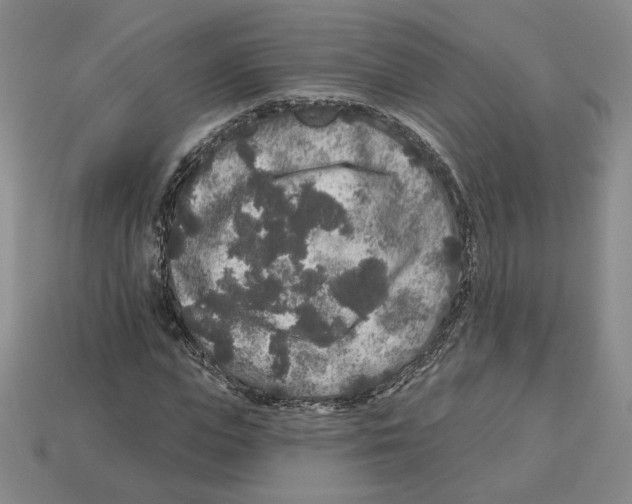 X0000112890823200910021412