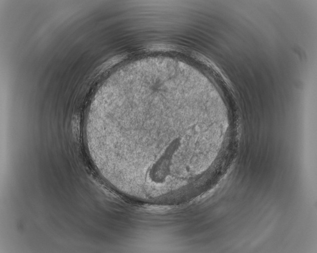 X0000112890825200910021412