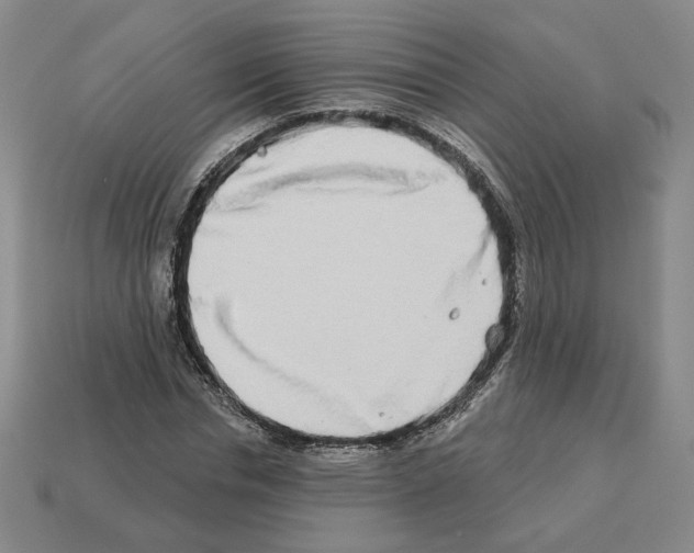 X0000112890826200910021412