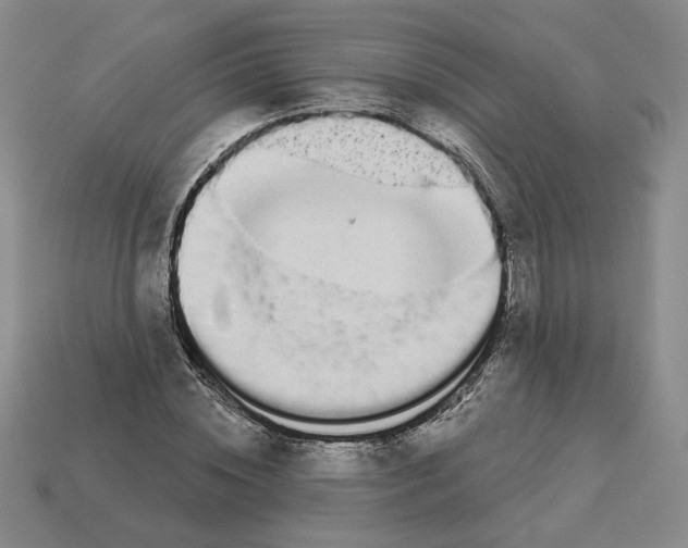 X0000112890828200910021412