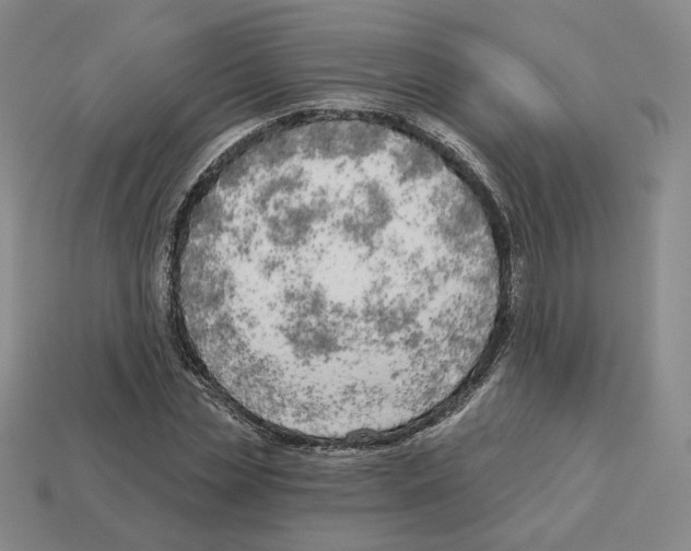 X0000112890829200910021412