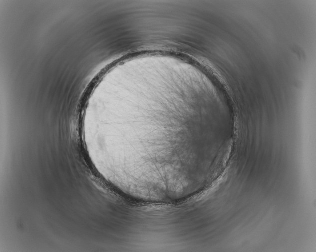X0000112890830200910021412