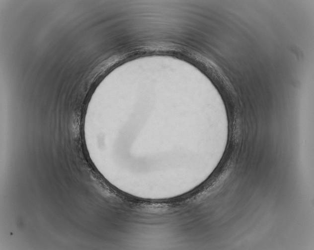 X0000112890833200910021413