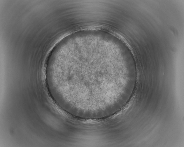 X0000112890835200910021413