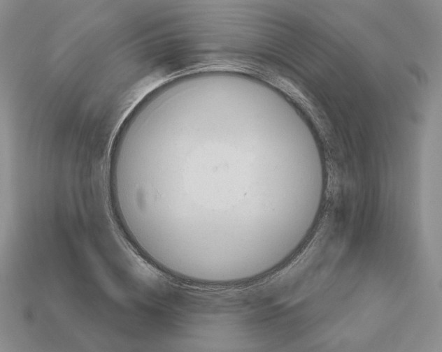 X0000112890836200910021413