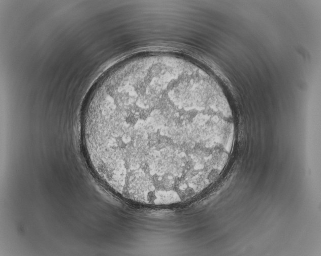 X0000112890837200910021413