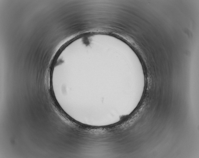 X0000112890838200910021413