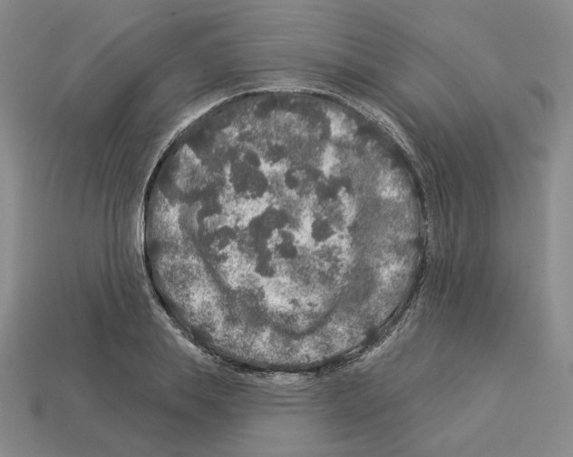 X0000112890839200910021413