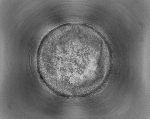 X0000112890840200910021413