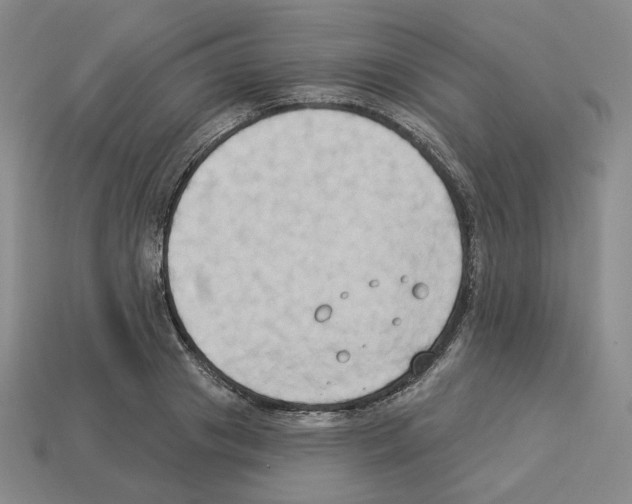 X0000112890841200910021413