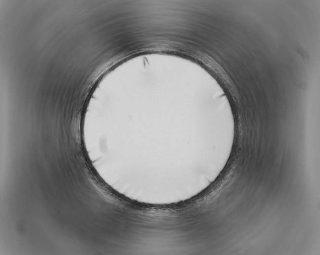 X0000112890842200910021413