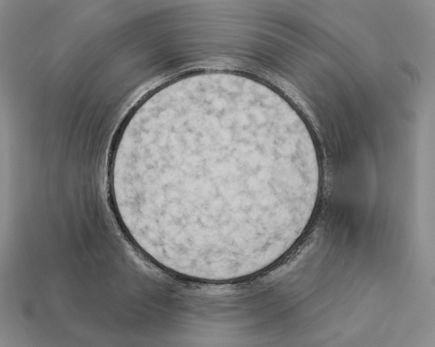 X0000112890845200910021413