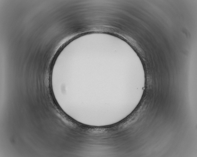 X0000112890846200910021413