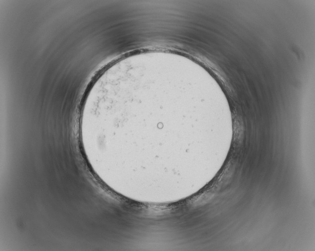 X0000112890848200910021413