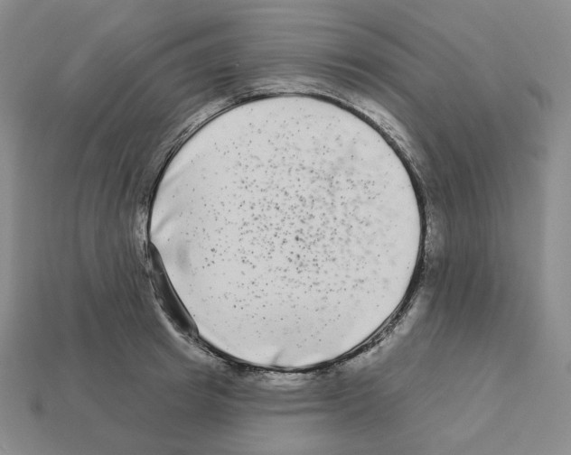 X0000112890849200910021413