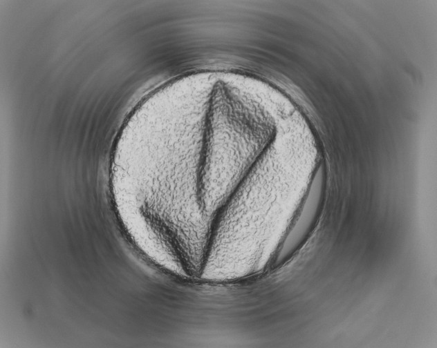 X0000112890850200910021413
