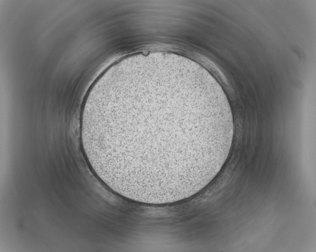 X0000112890852200910021413