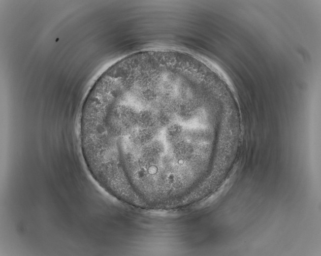 X0000112890855200910021413