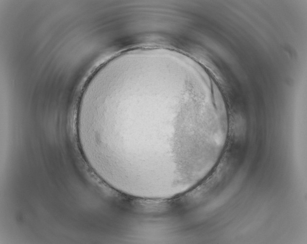 X0000112890856200910021413