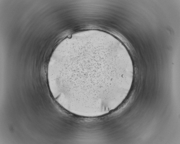 X0000112890857200910021413