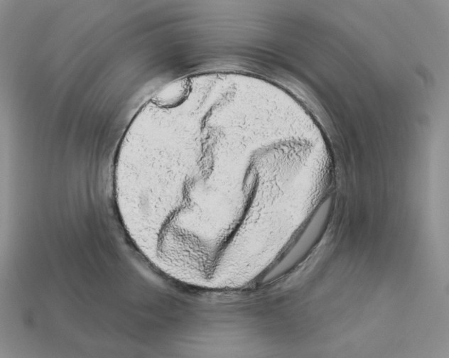 X0000112890858200910021413