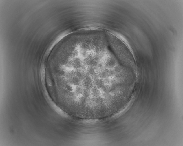 X0000112890859200910021413