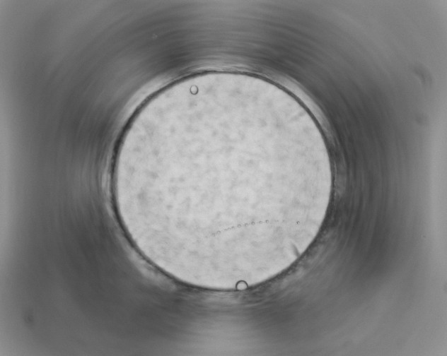 X0000112890861200910021413