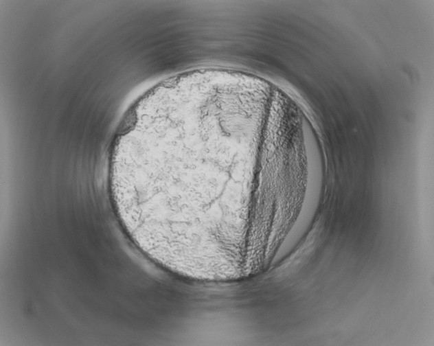 X0000112890862200910021413